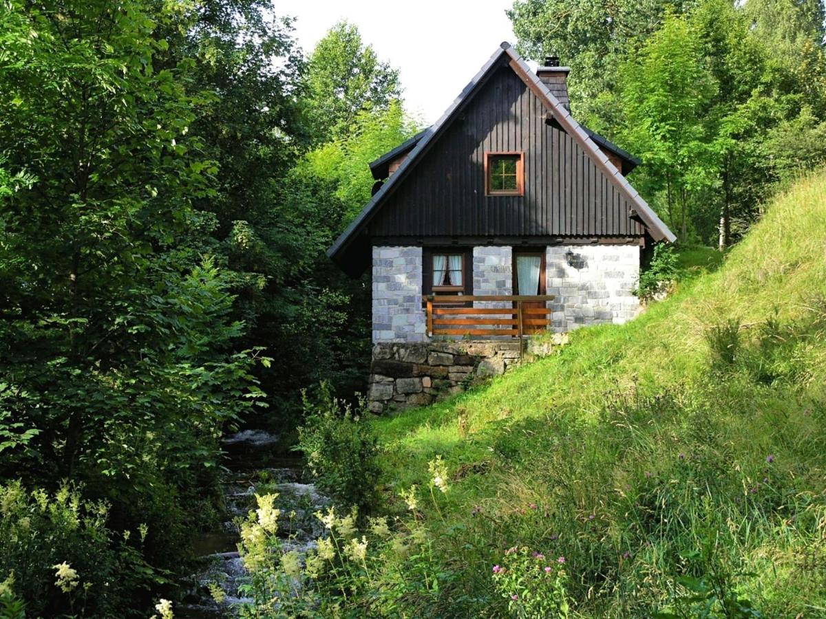 Converted Old Mill In St Georgen Inblack Forest Sankt Georgen im Schwarzwald Ngoại thất bức ảnh